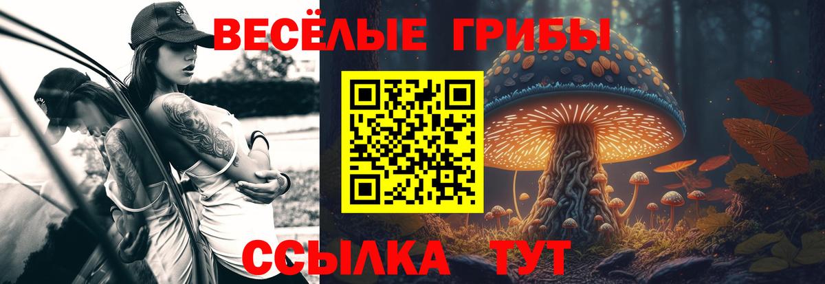 Когалым  Галлюциногенные грибы Magic Shrooms  Вход с VPN 